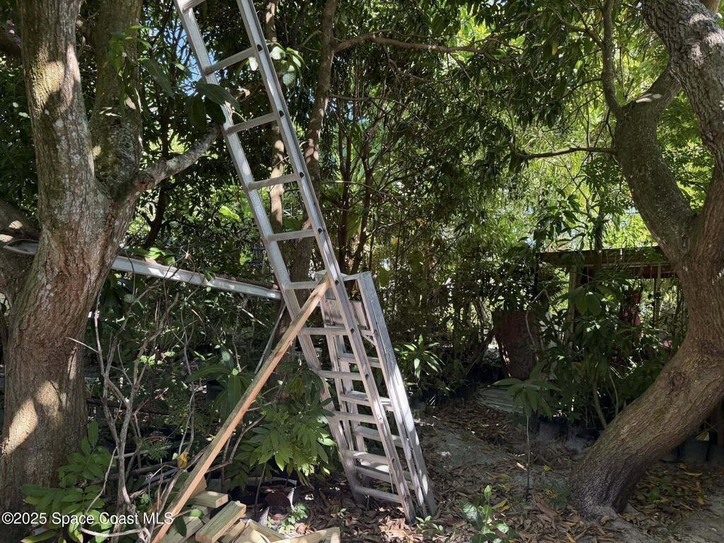 14 W Alma Drive, Melbourne, FL 32935