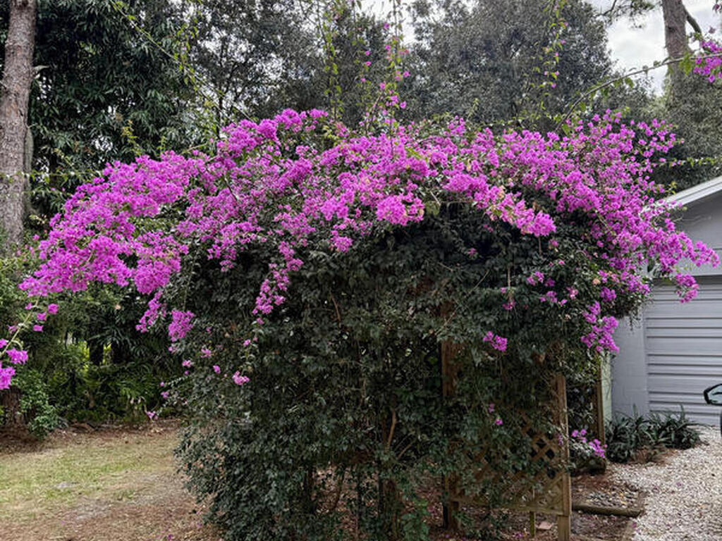 6831 Norman Drive, Melbourne, FL 32904