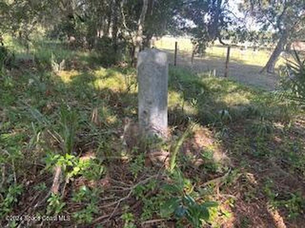 882 County Road 310, Interlachen, FL 32148