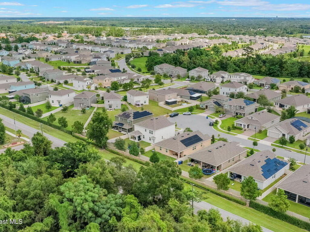 1855 Black Maple Place, Ocoee, FL 34761