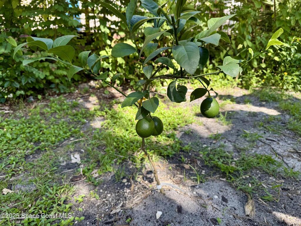 111 Seagrape Road, Melbourne Beach, FL 32951