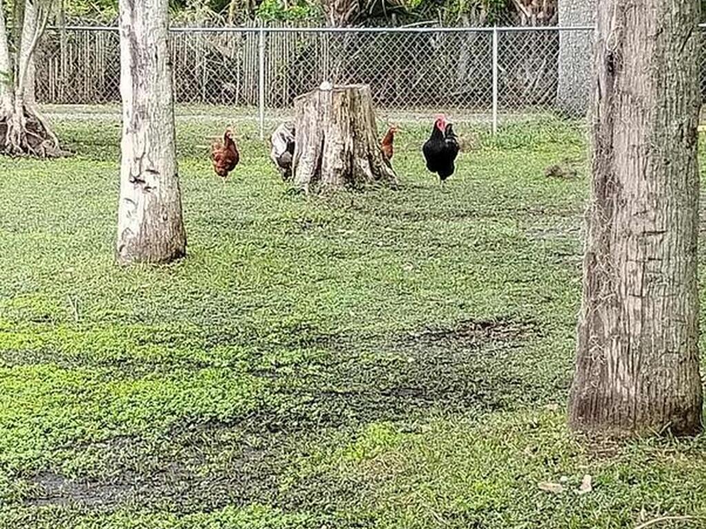 865 Pine Island Road, Merritt Island, FL 32953