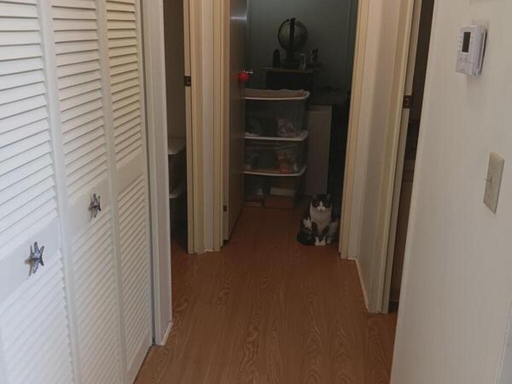 1223 Iriquois Drive, Barefoot Bay, FL 32976