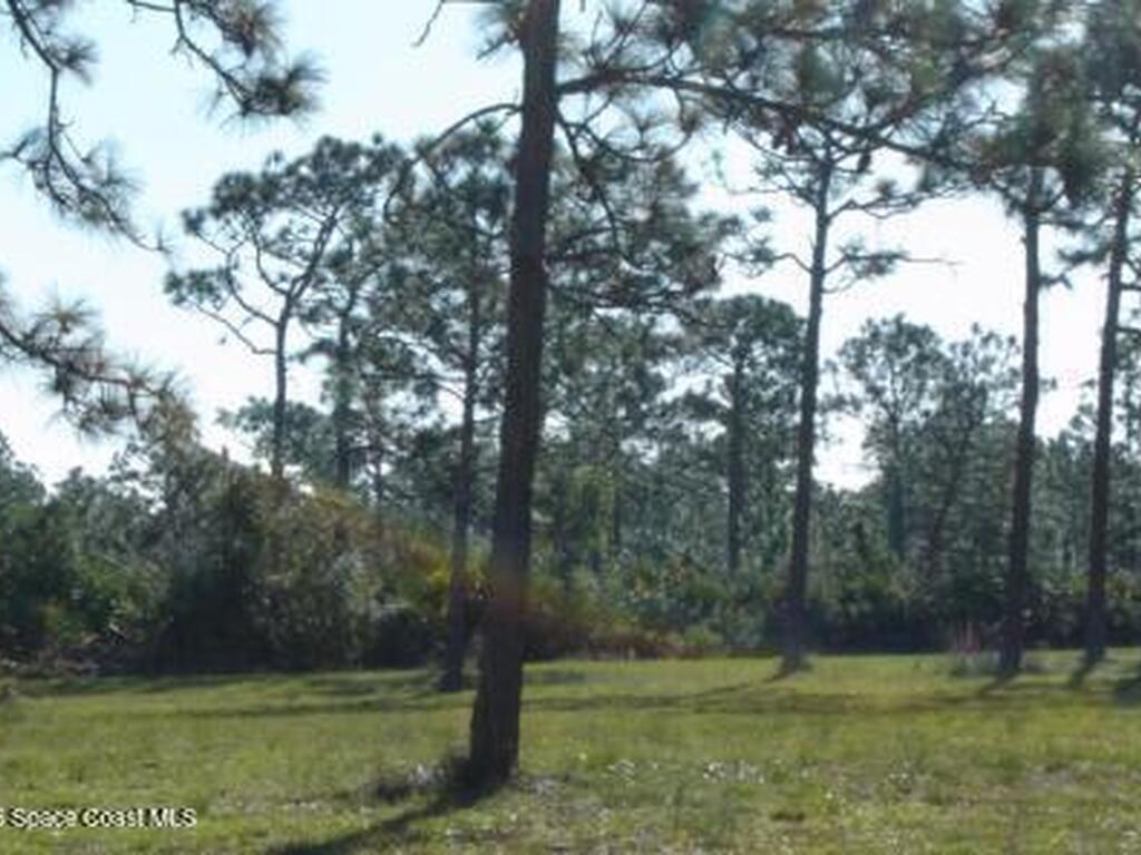 Unknown, Malabar, FL 32950