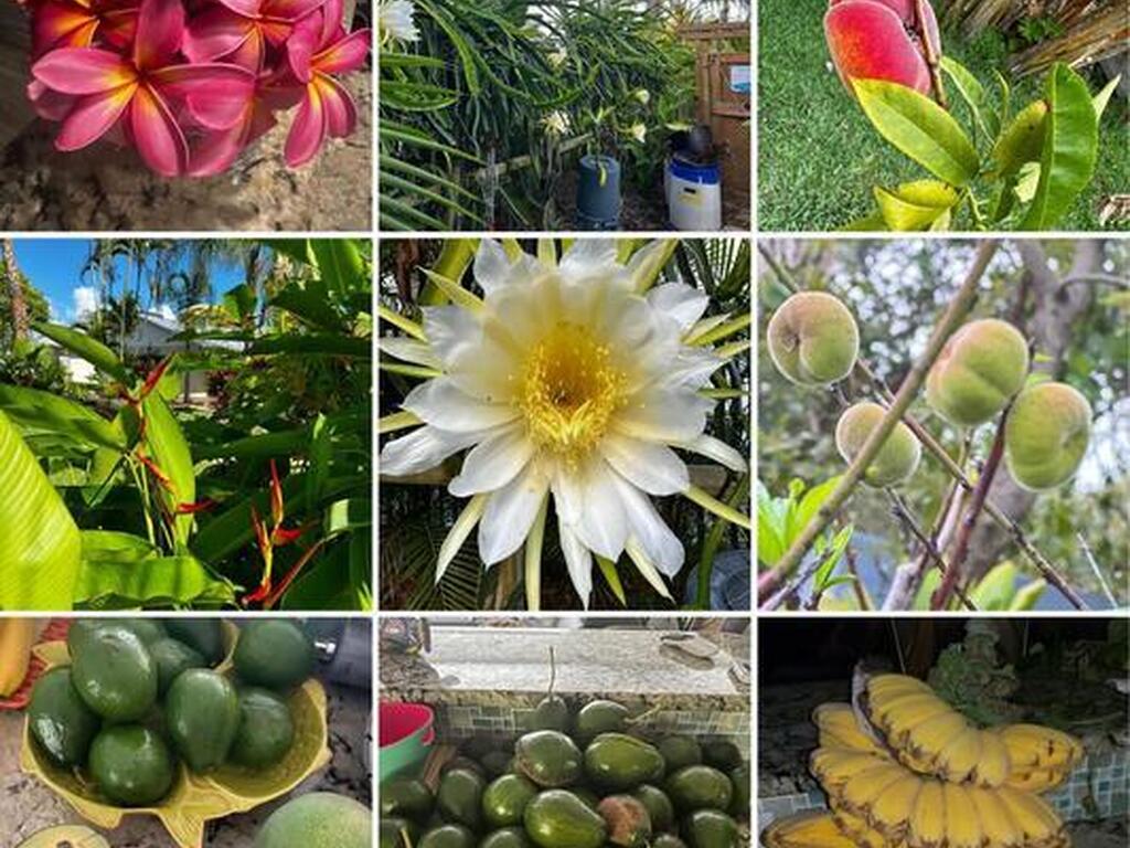 116 Delvalle Street, Melbourne Beach, FL 32951