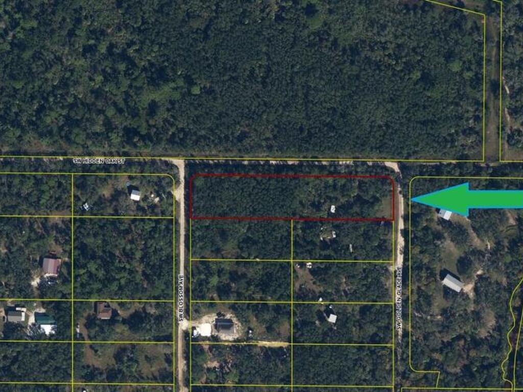 2006 SW Blossom Avenue, Arcadia, FL 34266