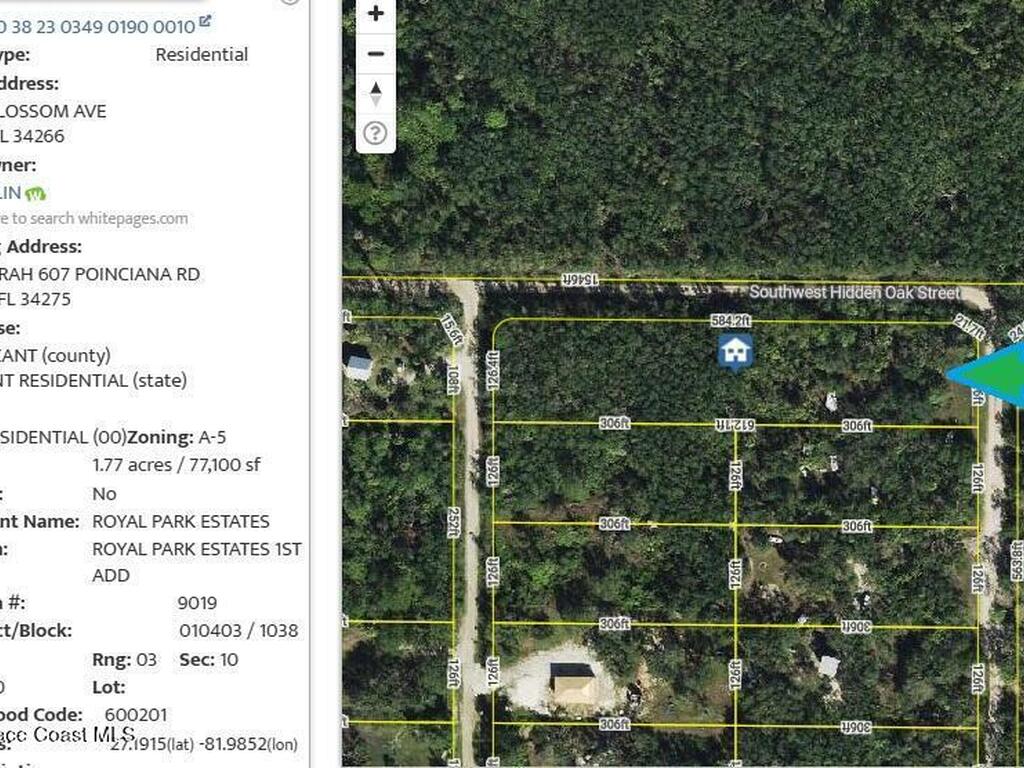 2006 SW Blossom Avenue, Arcadia, FL 34266