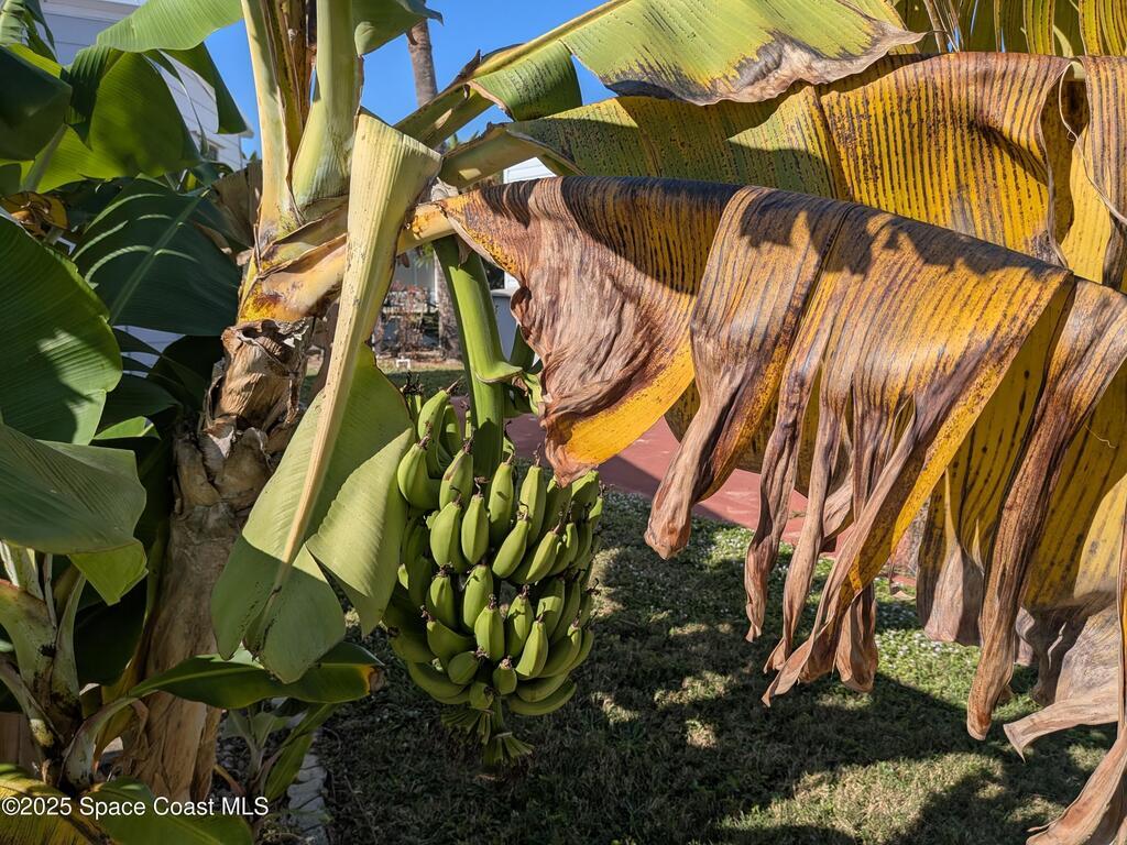 2580 Highway A1a, Melbourne Beach, FL 32951