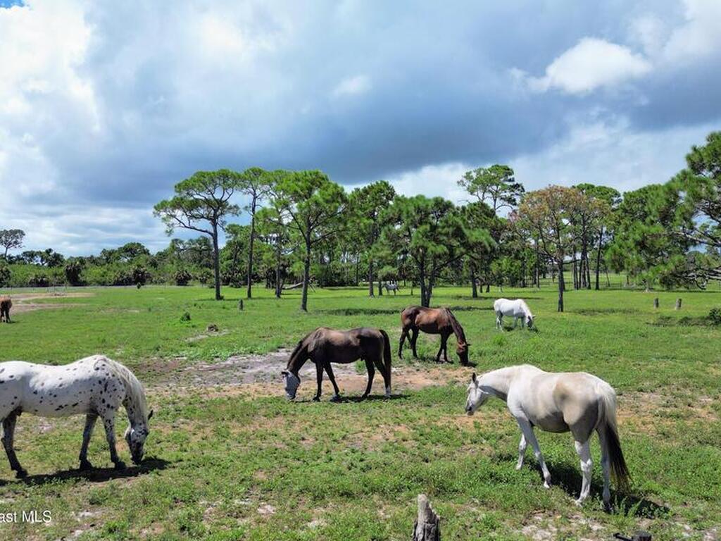 4850 Old Dixie Highway, Grant-Valkaria, FL 32949