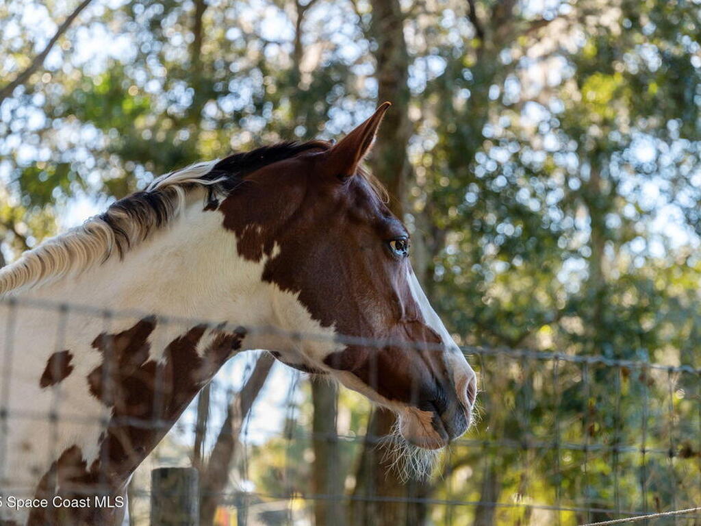 4630 James Road, Cocoa, FL 32926