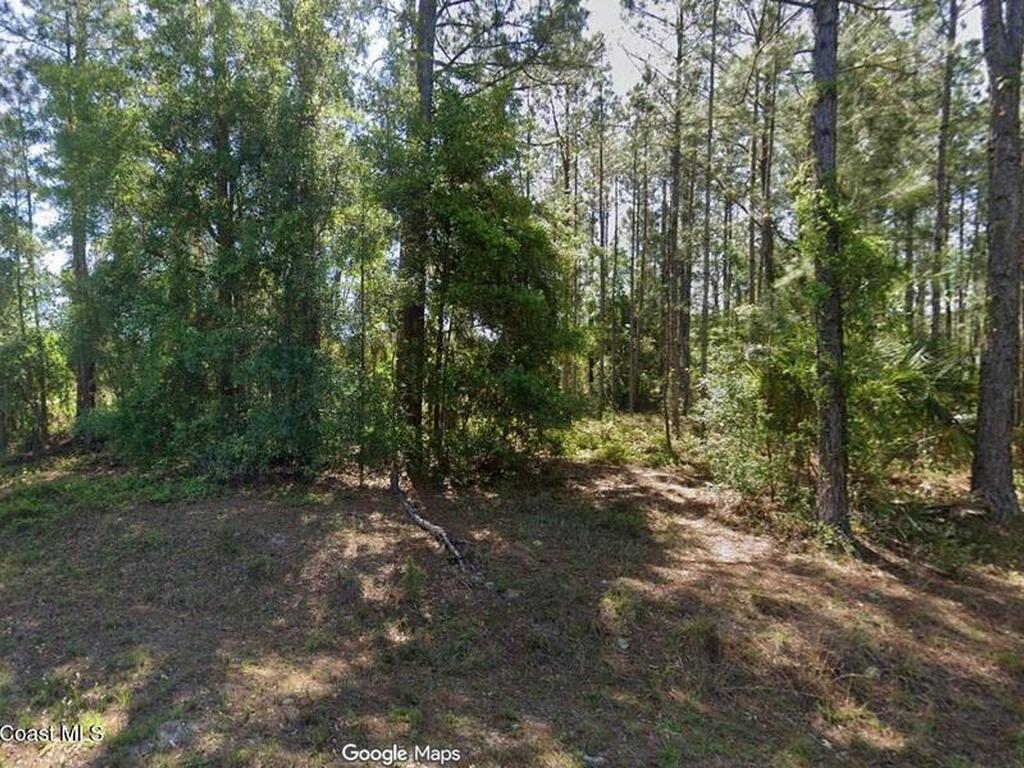 Sequoia Drive, Silver Springs, FL 34488