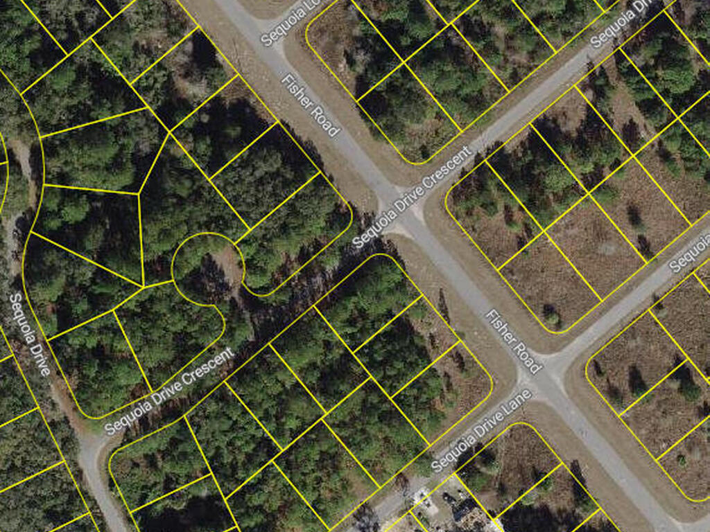 Sequoia Drive, Silver Springs, FL 34488