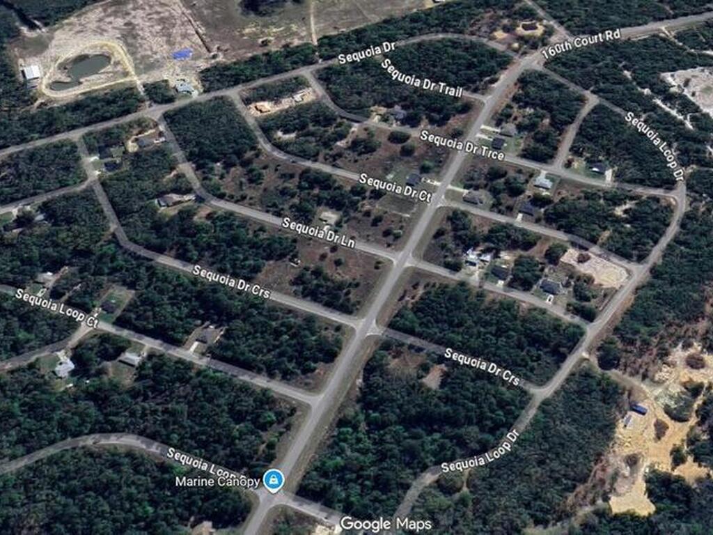 Sequoia Drive, Silver Springs, FL 34488