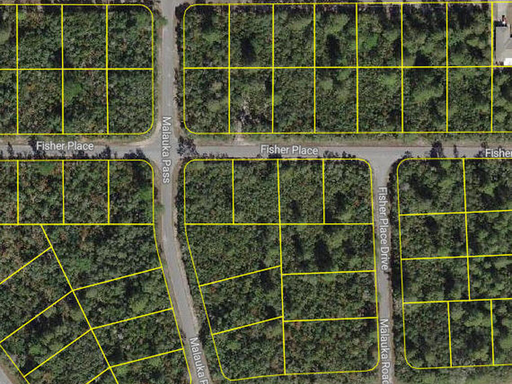 Fisher Place, Silver Springs, FL 34488