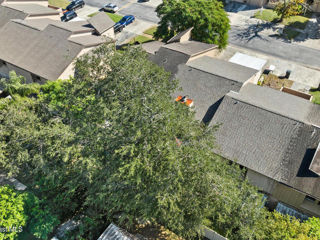 1904 Cashew Courtway, Titusville, FL 32780