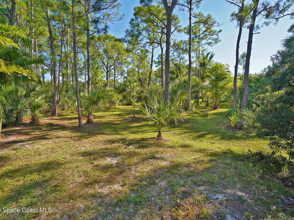 4060 Edisto Drive, Grant, FL 32949