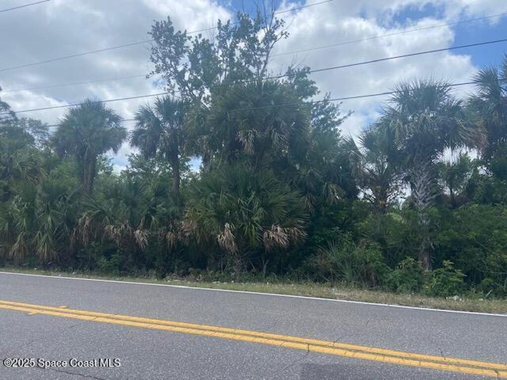 Tbd Canaveral Groves Blvd Boulevard, Cocoa, FL 32926
