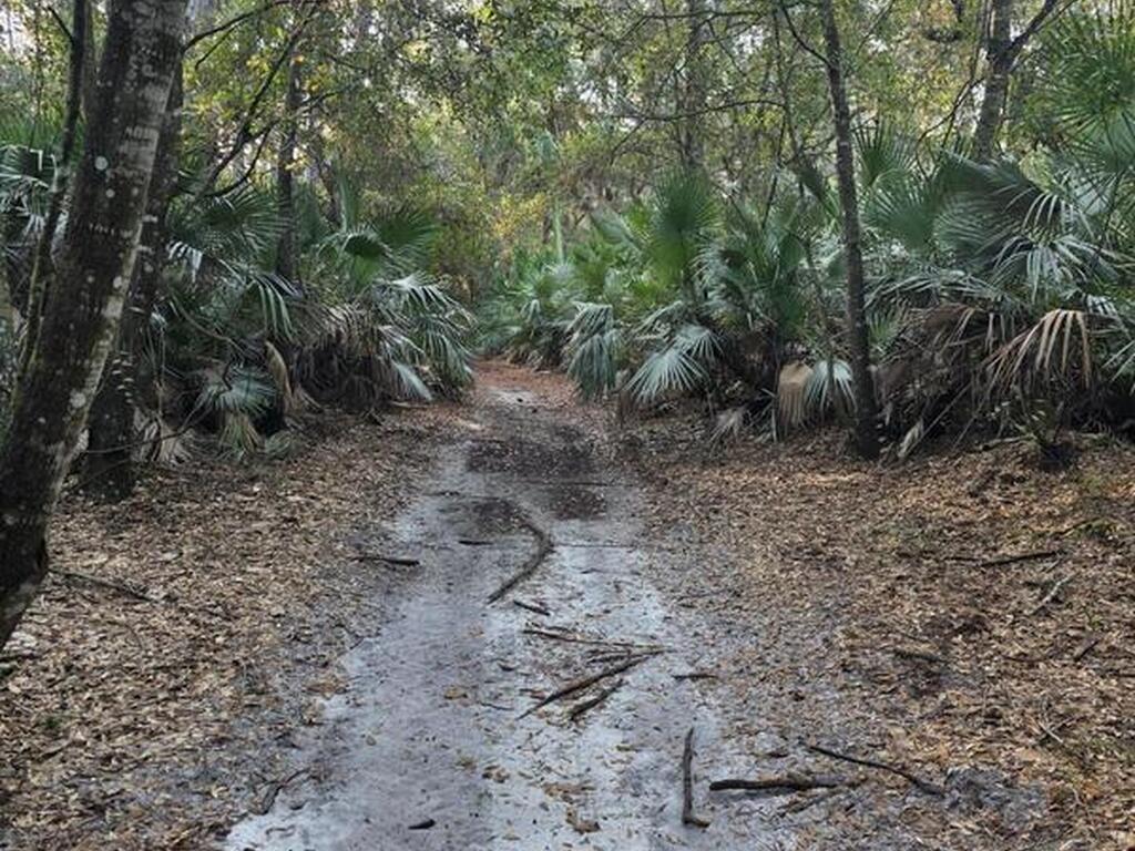 0000 Wood Duck Drive, Mims, FL 32754