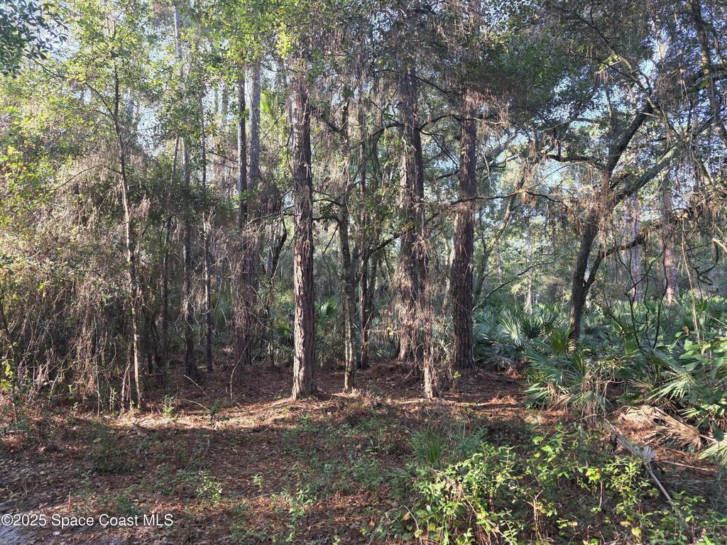 0000 Wood Duck Drive, Mims, FL 32754