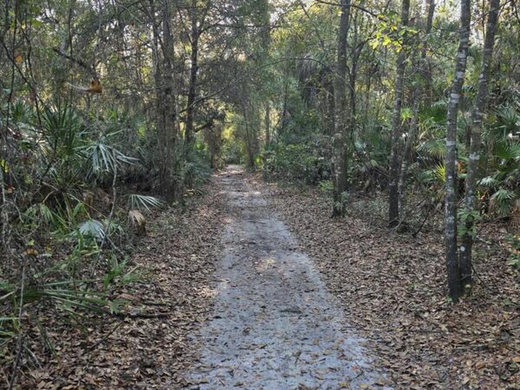 0000 Wood Duck Drive, Mims, FL 32754