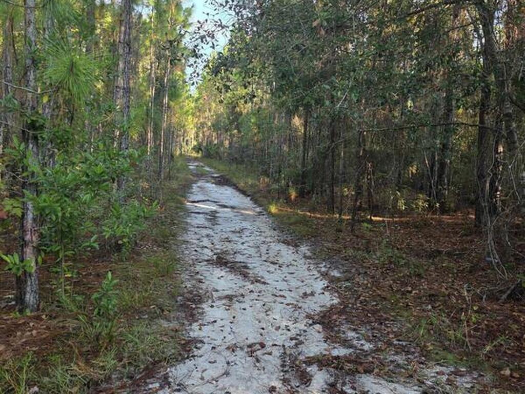 0000 Wood Duck Drive, Mims, FL 32754