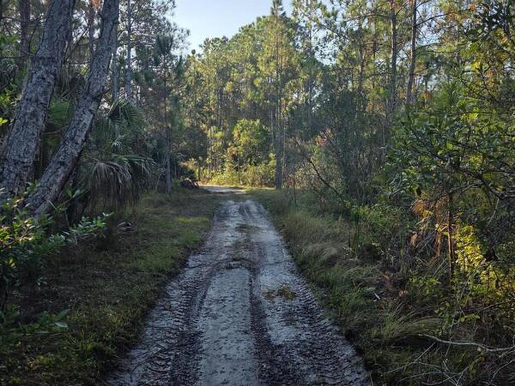 0000 Wood Duck Drive, Mims, FL 32754