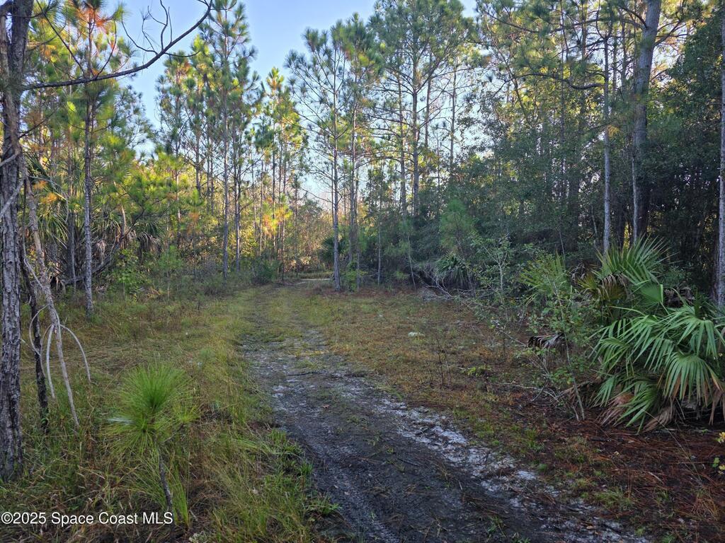 0000 Wood Duck Drive, Mims, FL 32754