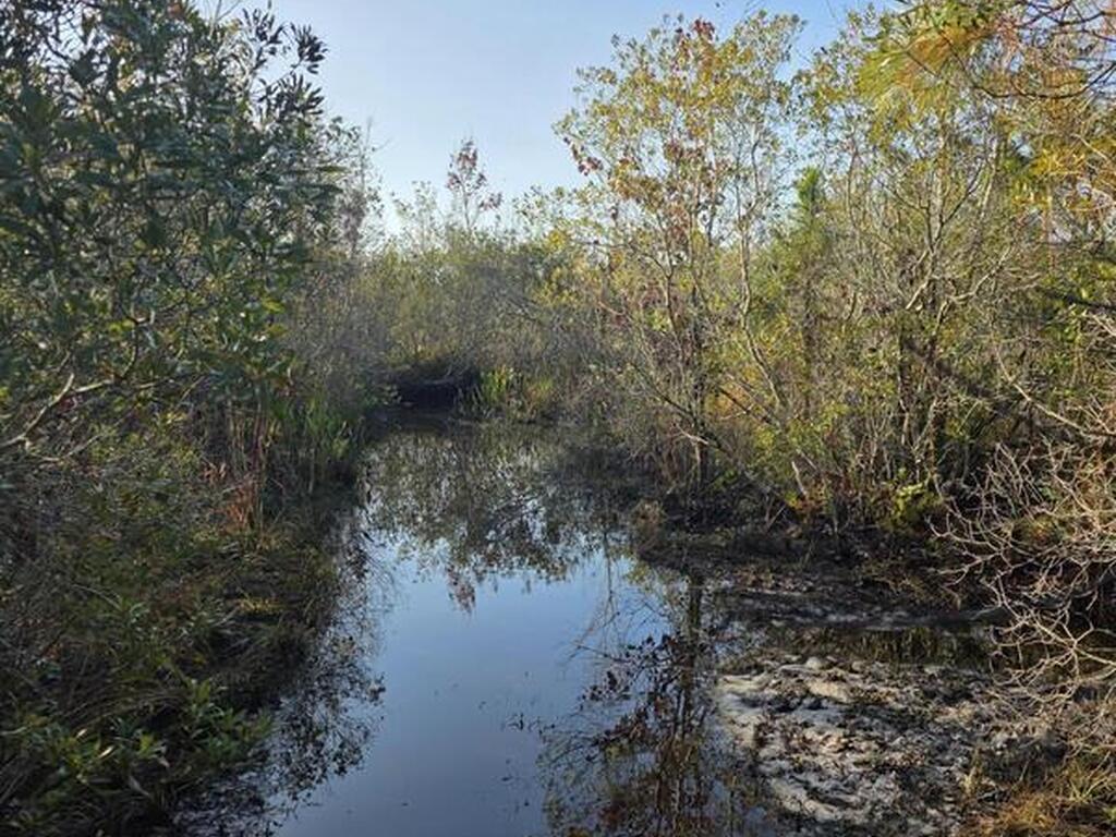 0000 Wood Duck Drive, Mims, FL 32754