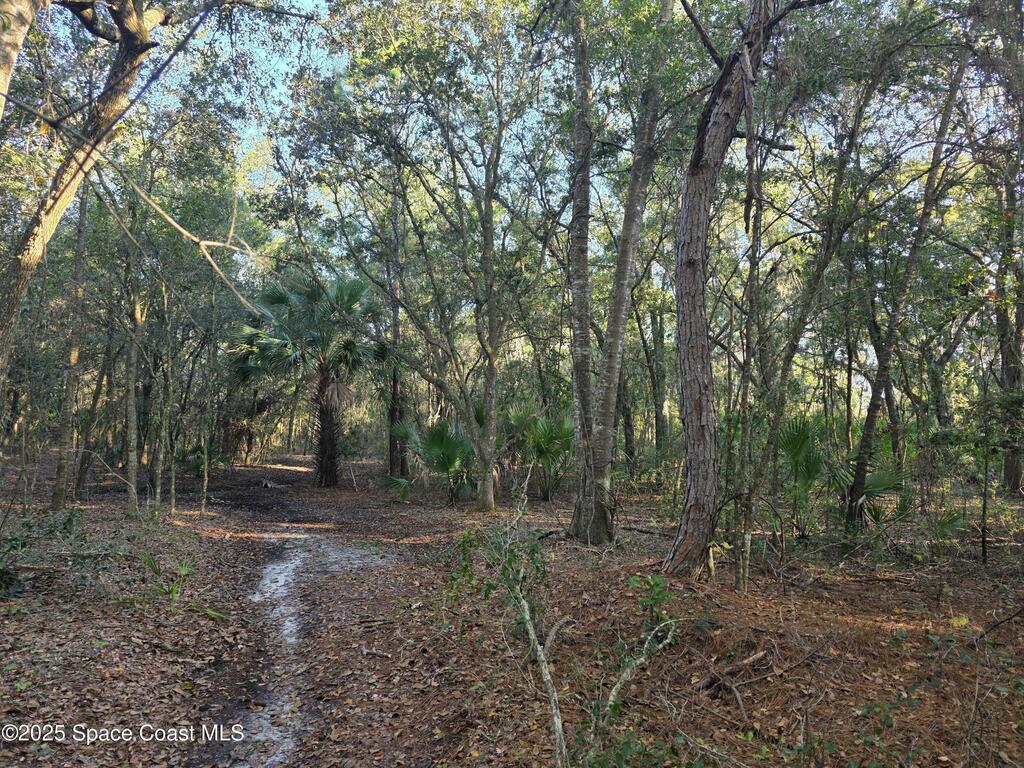 0000 Wood Duck Drive, Mims, FL 32754