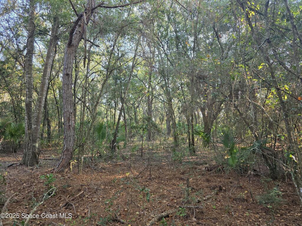 0000 Wood Duck Drive, Mims, FL 32754