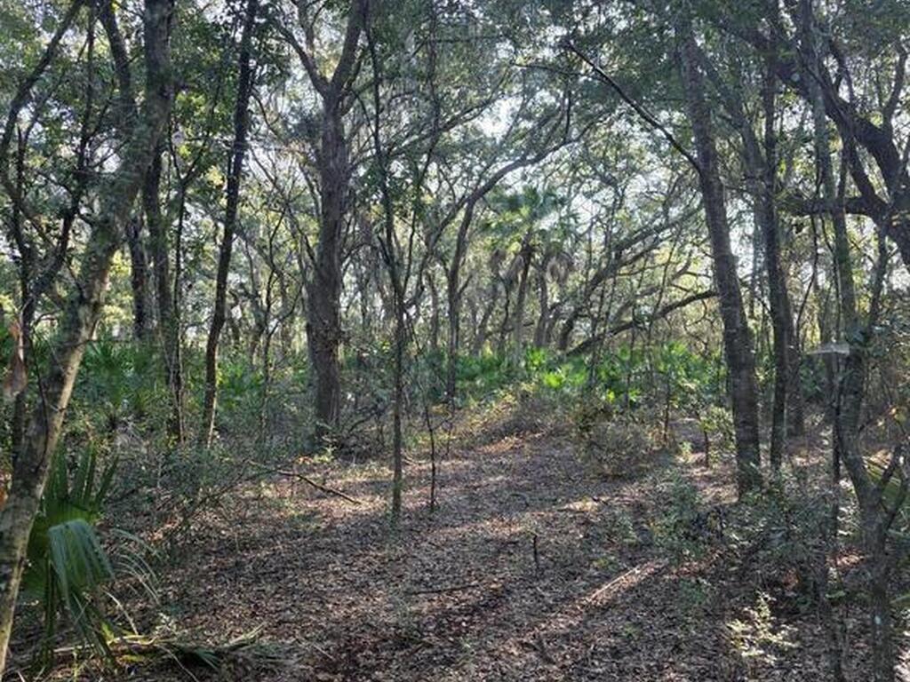 0000 Wood Duck Drive, Mims, FL 32754