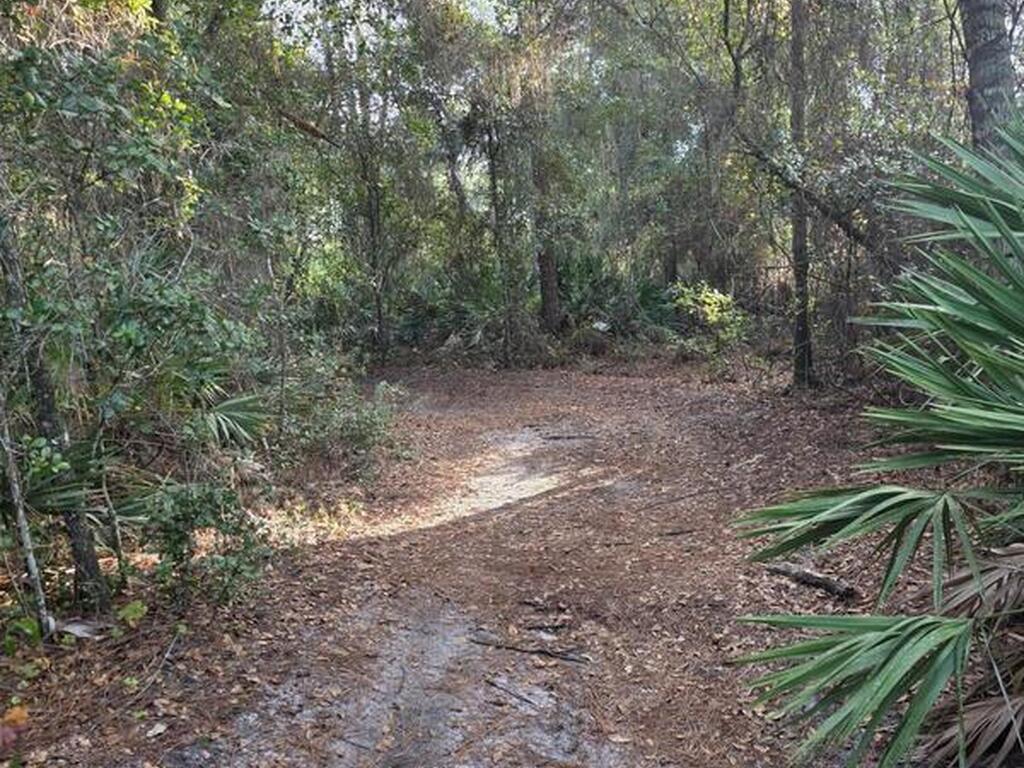 0000 Wood Duck Drive, Mims, FL 32754