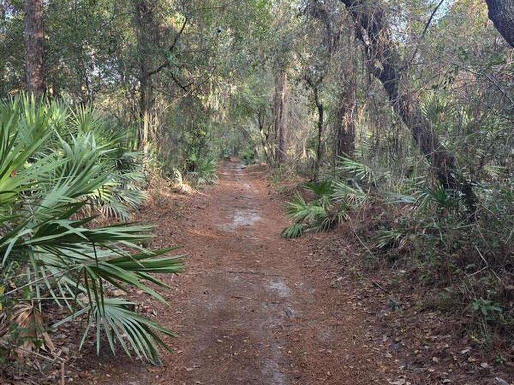 0000 Wood Duck Drive, Mims, FL 32754