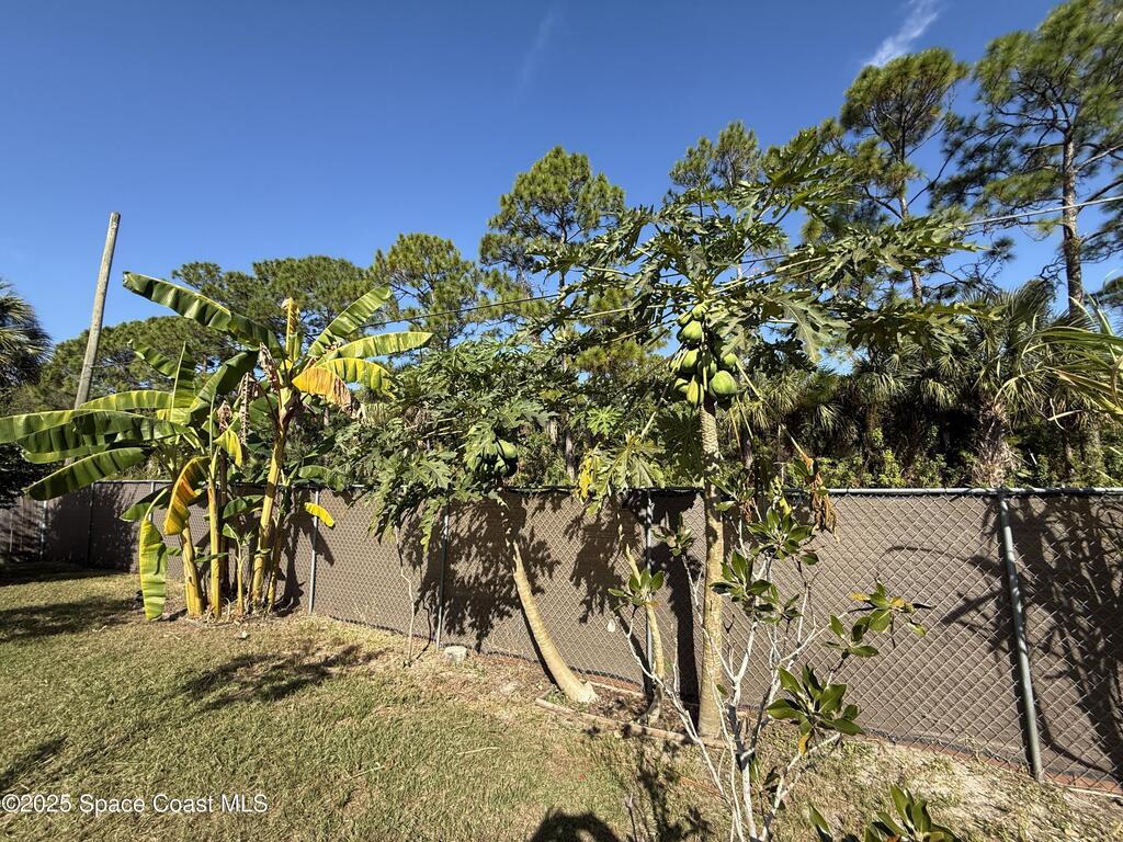 1683 Zaffer Street, Palm Bay, FL 32907