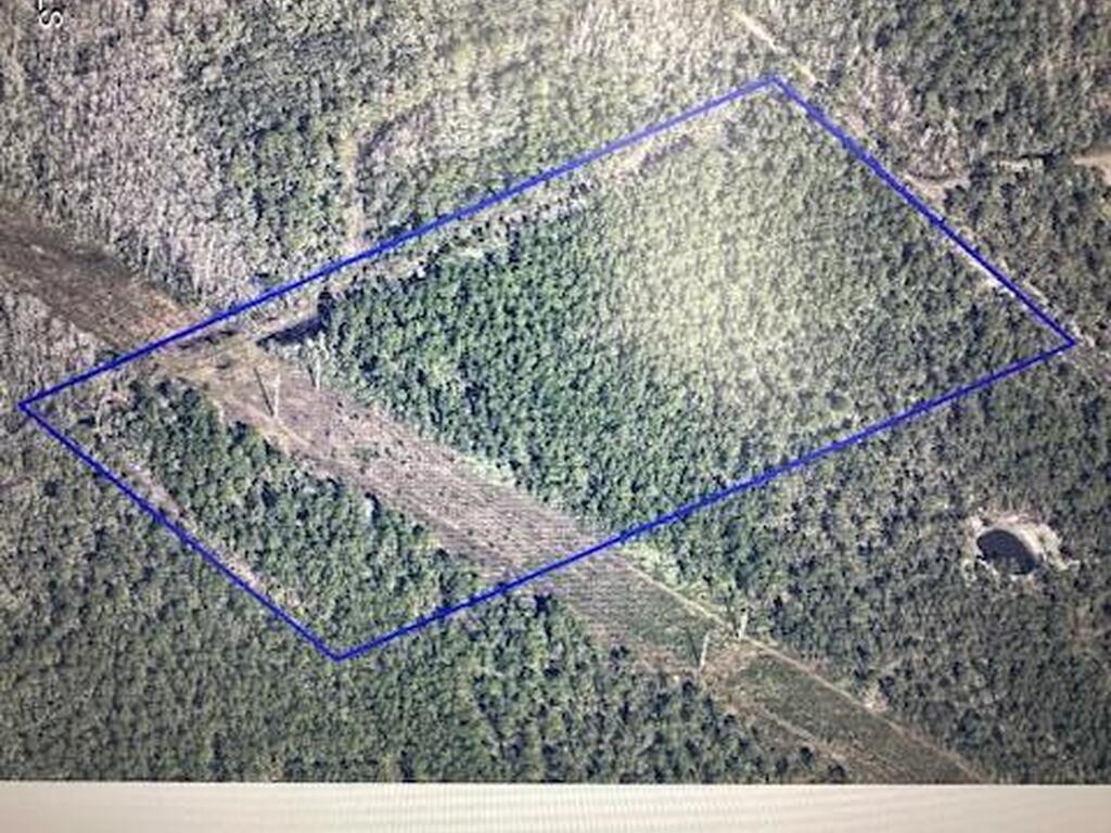 0000 D Johnson, Mims, FL 32754