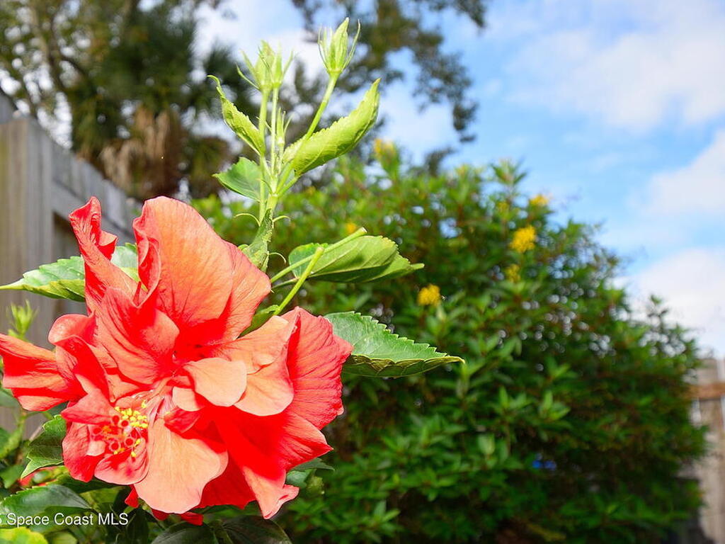 2445 Christine Drive, Titusville, FL 32796