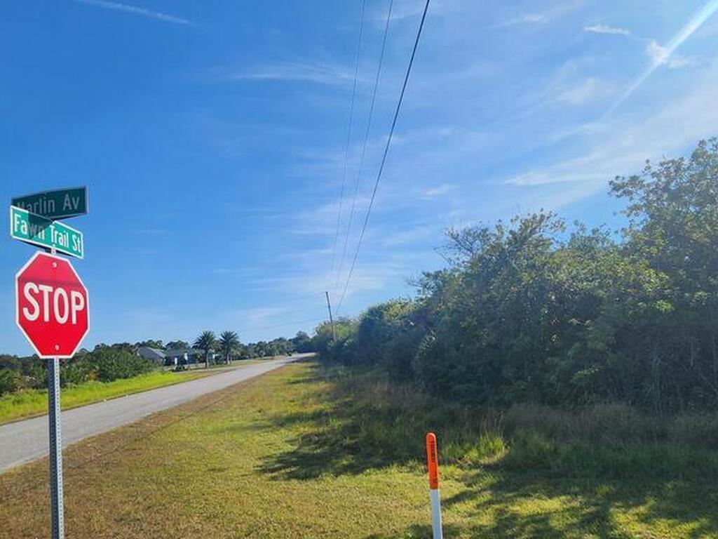 Xxx Fawn Trail Street, Palm Bay, FL 32909