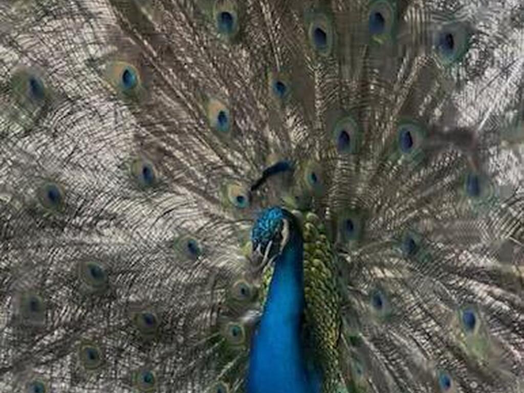 2350 Fallon Blvd Boulevard, Palm Bay, FL 32907