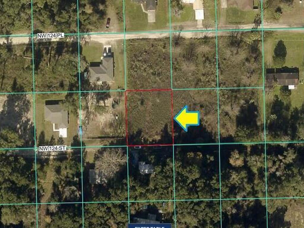 0000 NW 124th Street, Citra, FL 32113