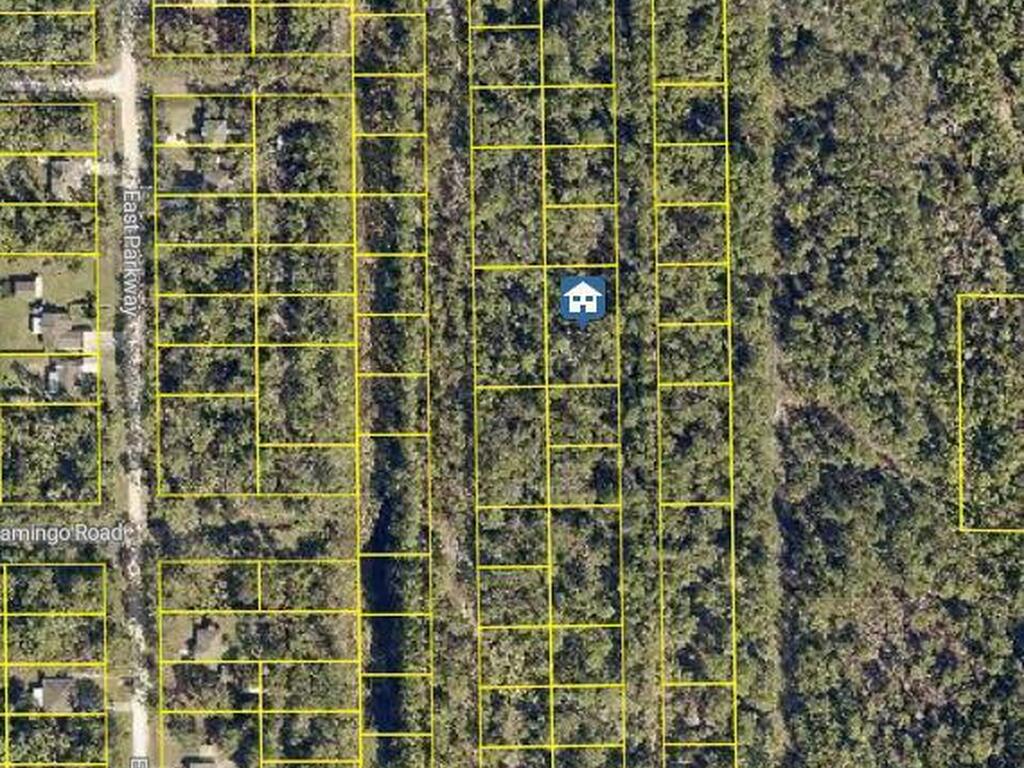 00 No Street, DeLand, FL 32724