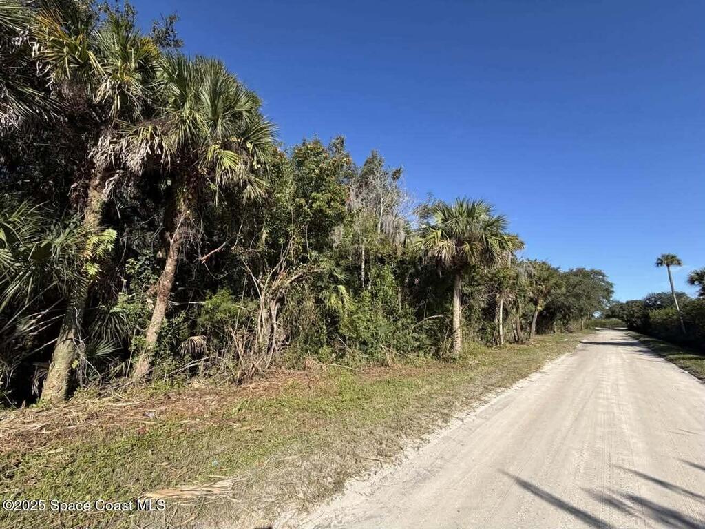 0000 Hammock Road, Mims, FL 32754