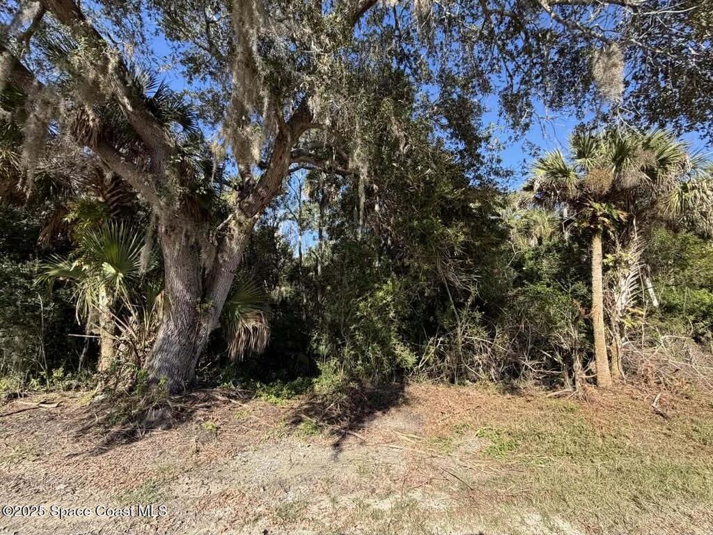 0000 Hammock Road, Mims, FL 32754