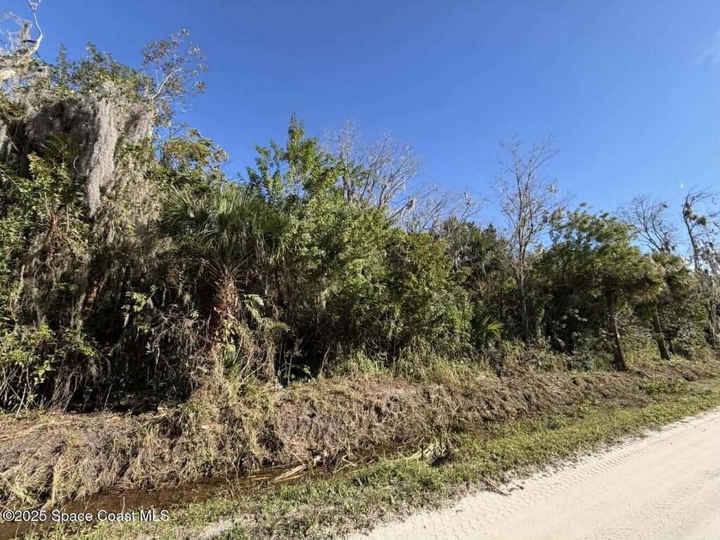 0000 Hammock Road, Mims, FL 32754