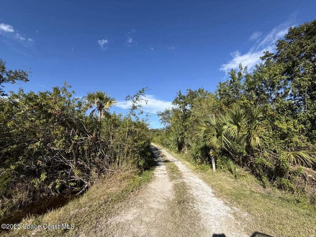 0000 Hammock Road, Mims, FL 32754