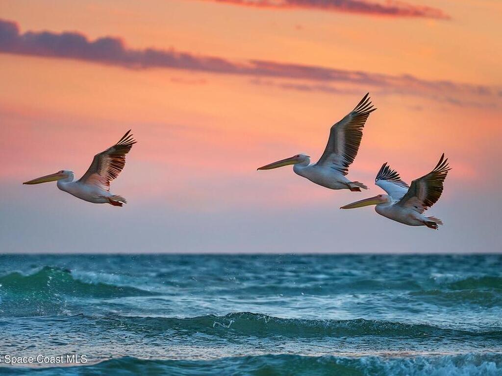 1948 Barkley Avenue, Melbourne, FL 32935