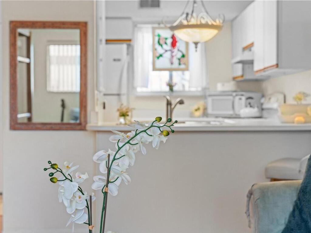 217 Ocean Park Lane Lane, Cape Canaveral, FL 32920