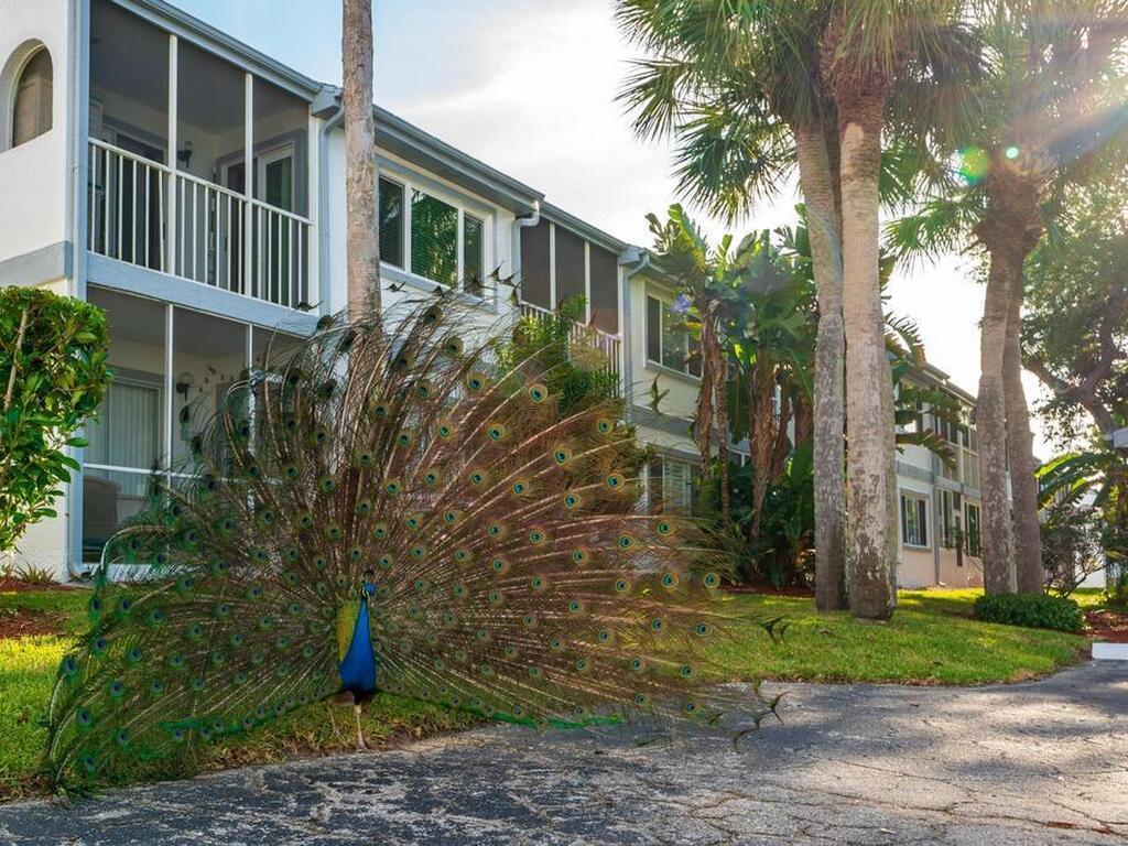 217 Ocean Park Lane Lane, Cape Canaveral, FL 32920