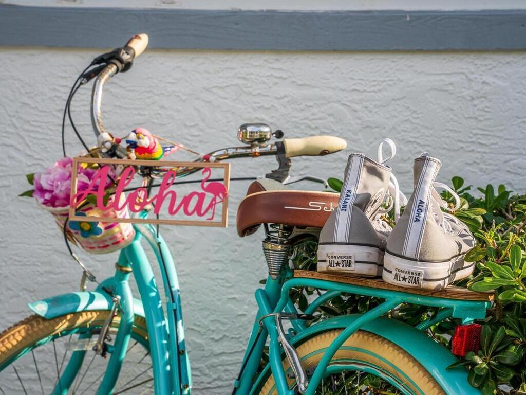 217 Ocean Park Lane Lane, Cape Canaveral, FL 32920