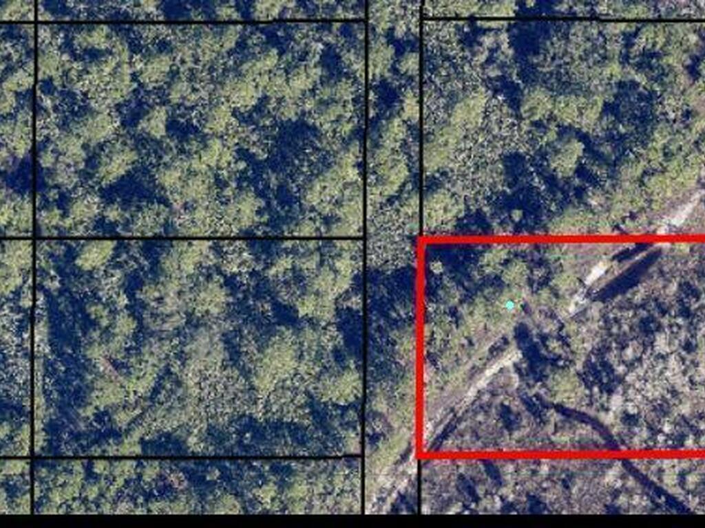 None Unknown, Grant, FL 32949