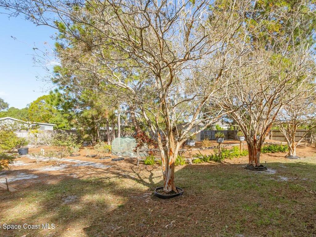 1407 SE Valerius Street, Palm Bay, FL 32909